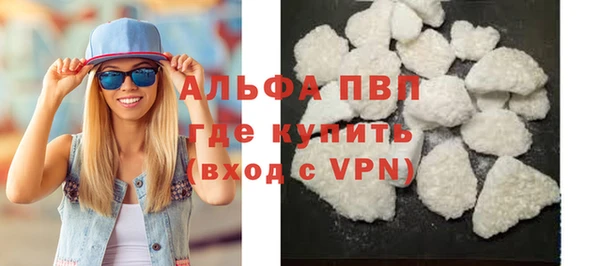 индика Саяногорск