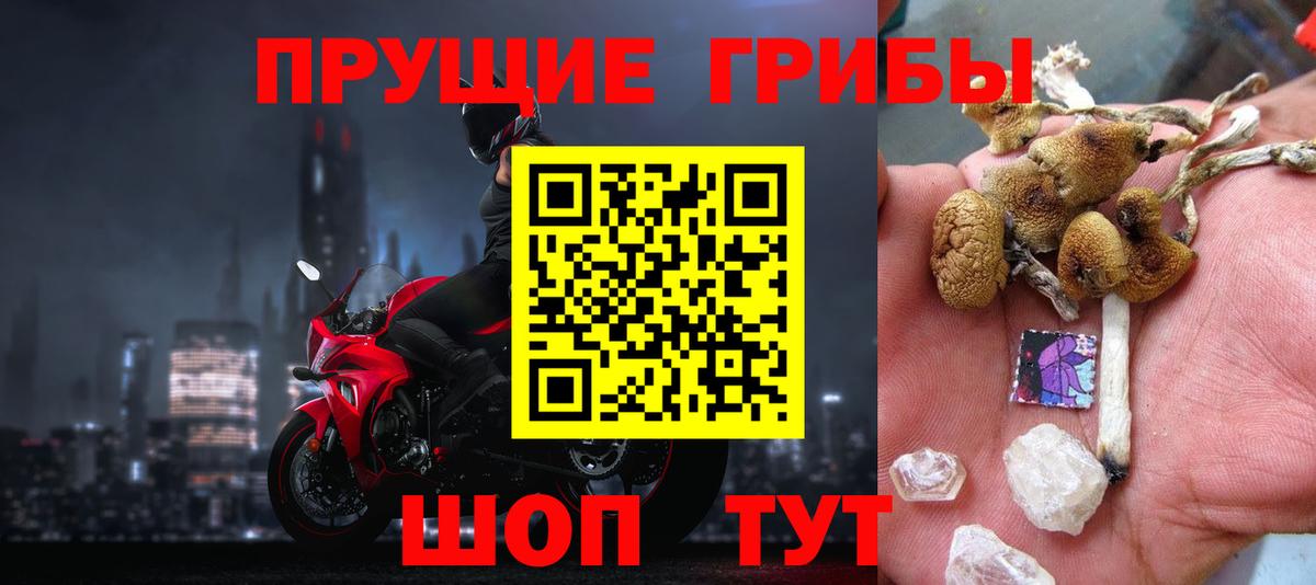 Сегежа  Псилоцибиновые грибы Psilocybine cubensis  Вход с VPN 