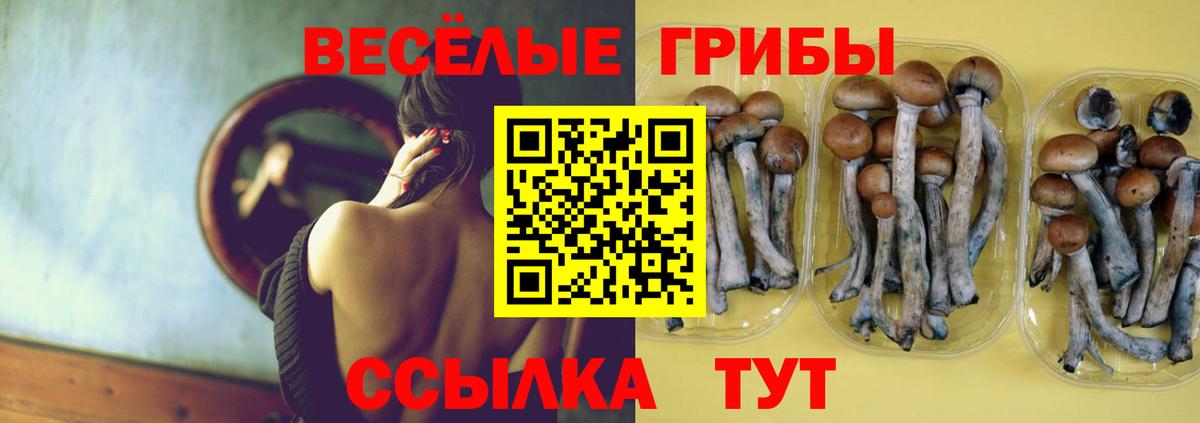 Галлюциногенные грибы Magic Shrooms Сегежа