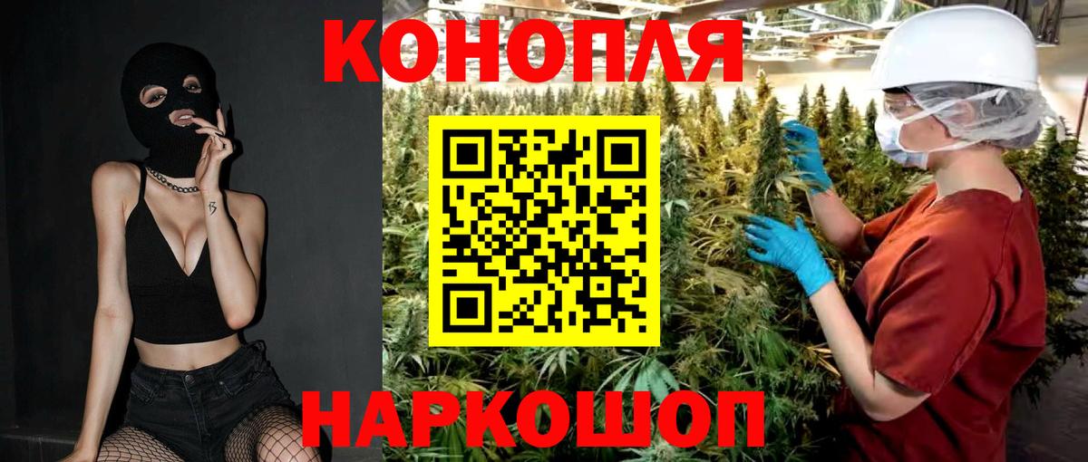 Бошки марихуана семена  Вход с VPN  Бошки марихуана конопля  Сегежа 