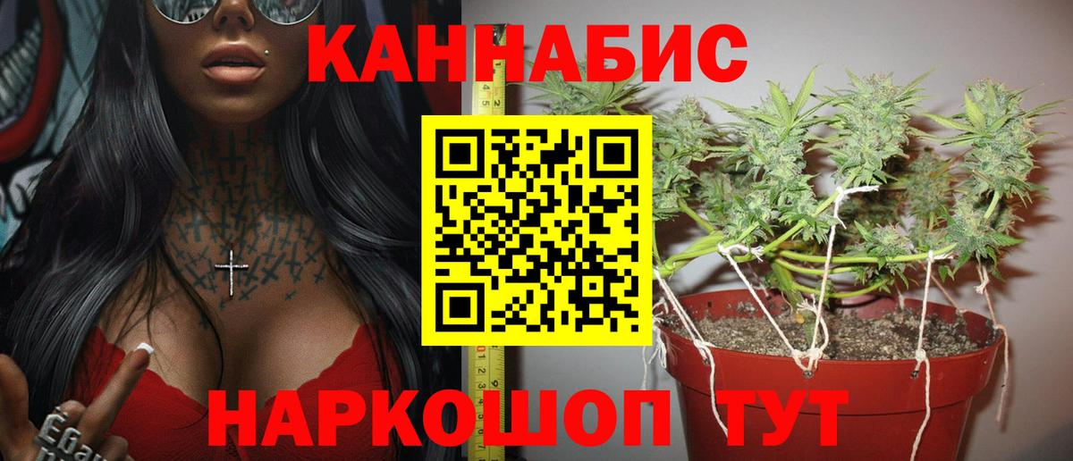 МАРИХУАНА планчик Сегежа